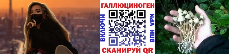 Галлюциногенные грибы мицелий  купить   Сунжа 