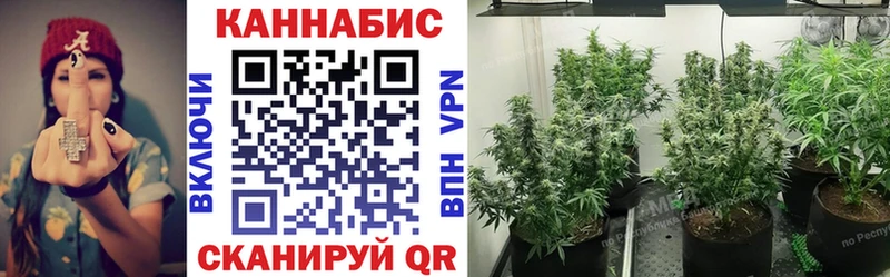купить   Сунжа  Бошки Шишки гибрид 